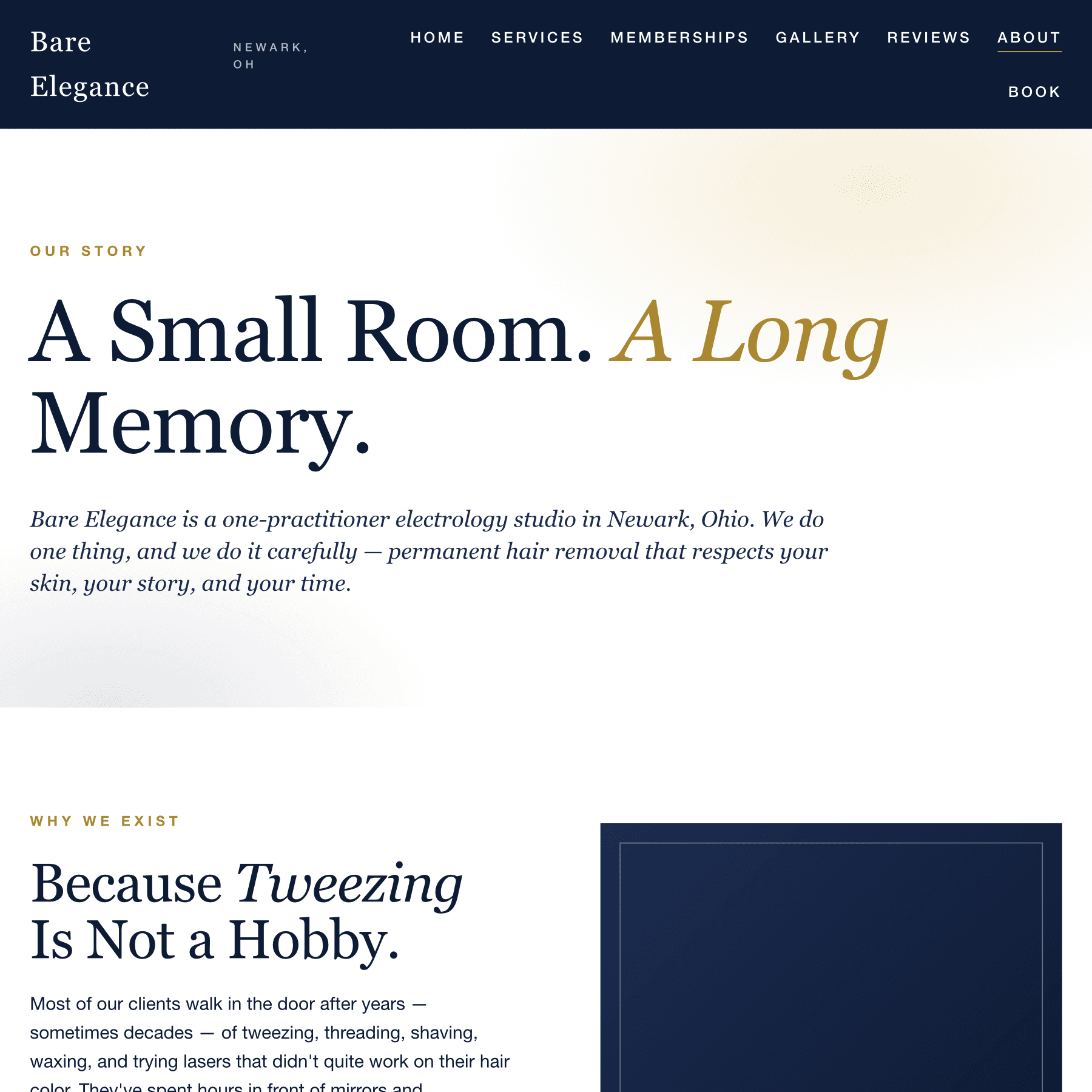 Bare Elegance about page