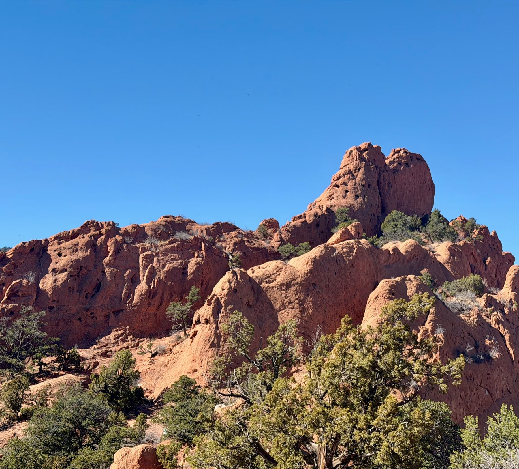 Colorado red rocks