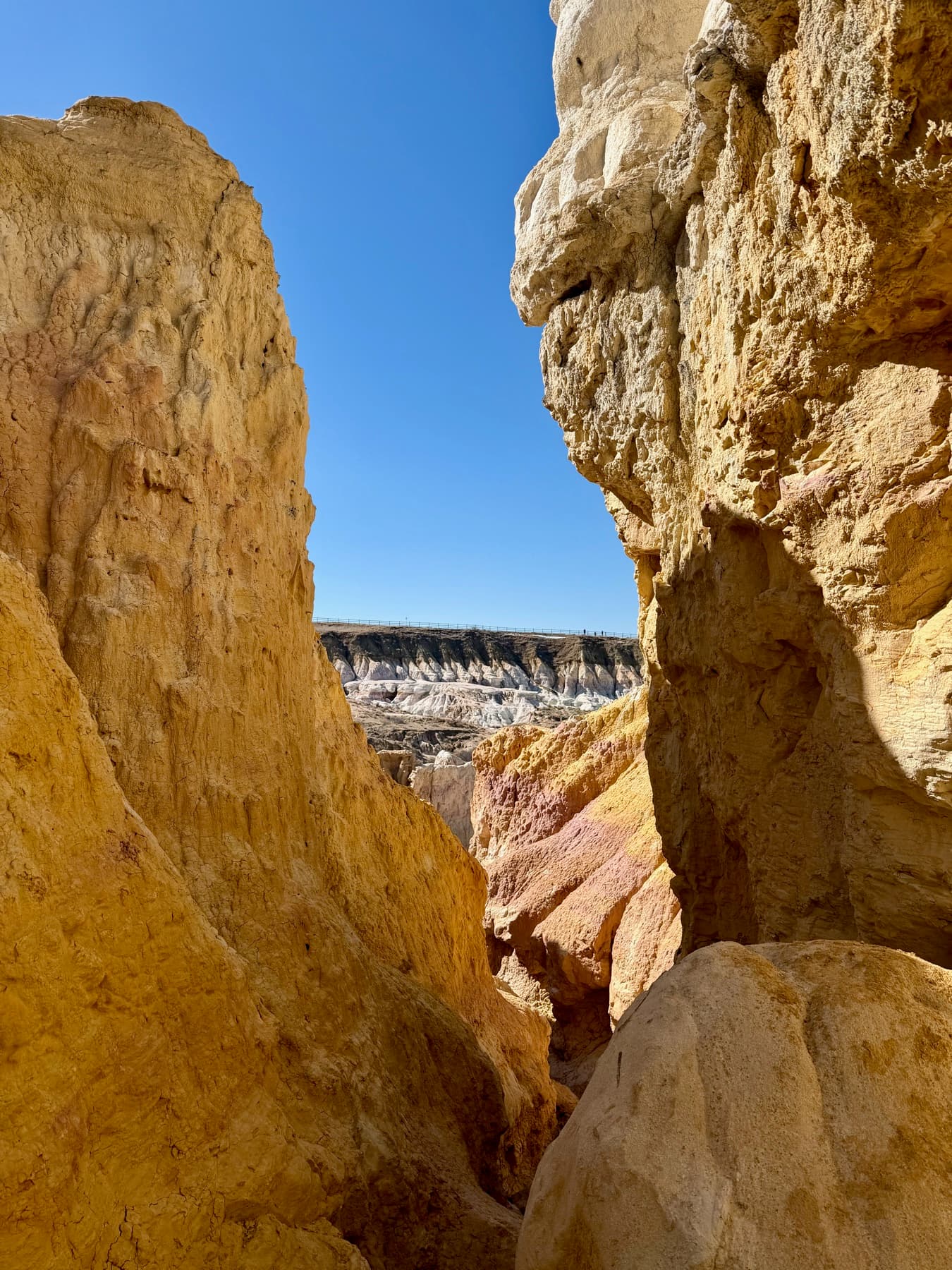 Colorado landscape