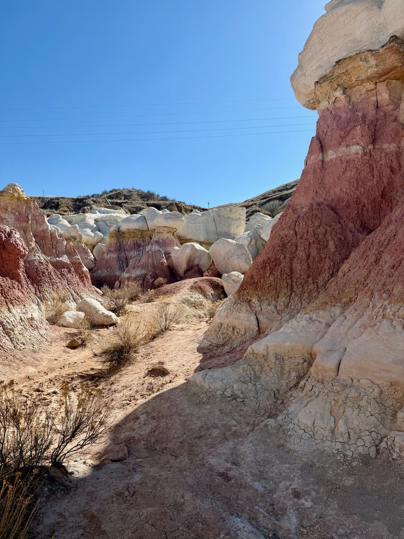 Colorado landscape