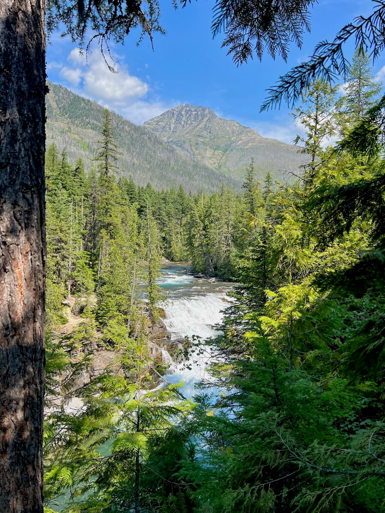 Montana landscape