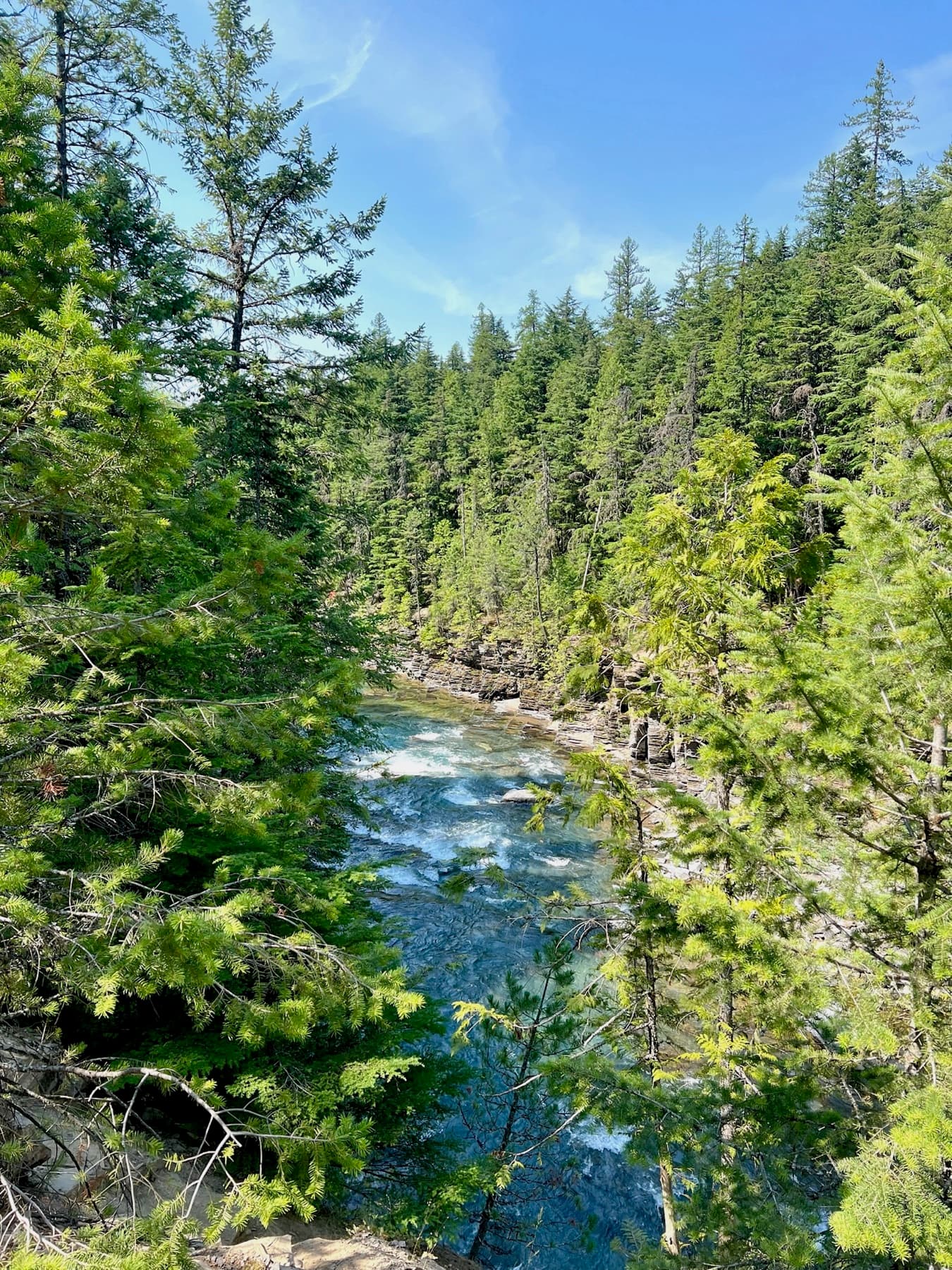 Montana landscape