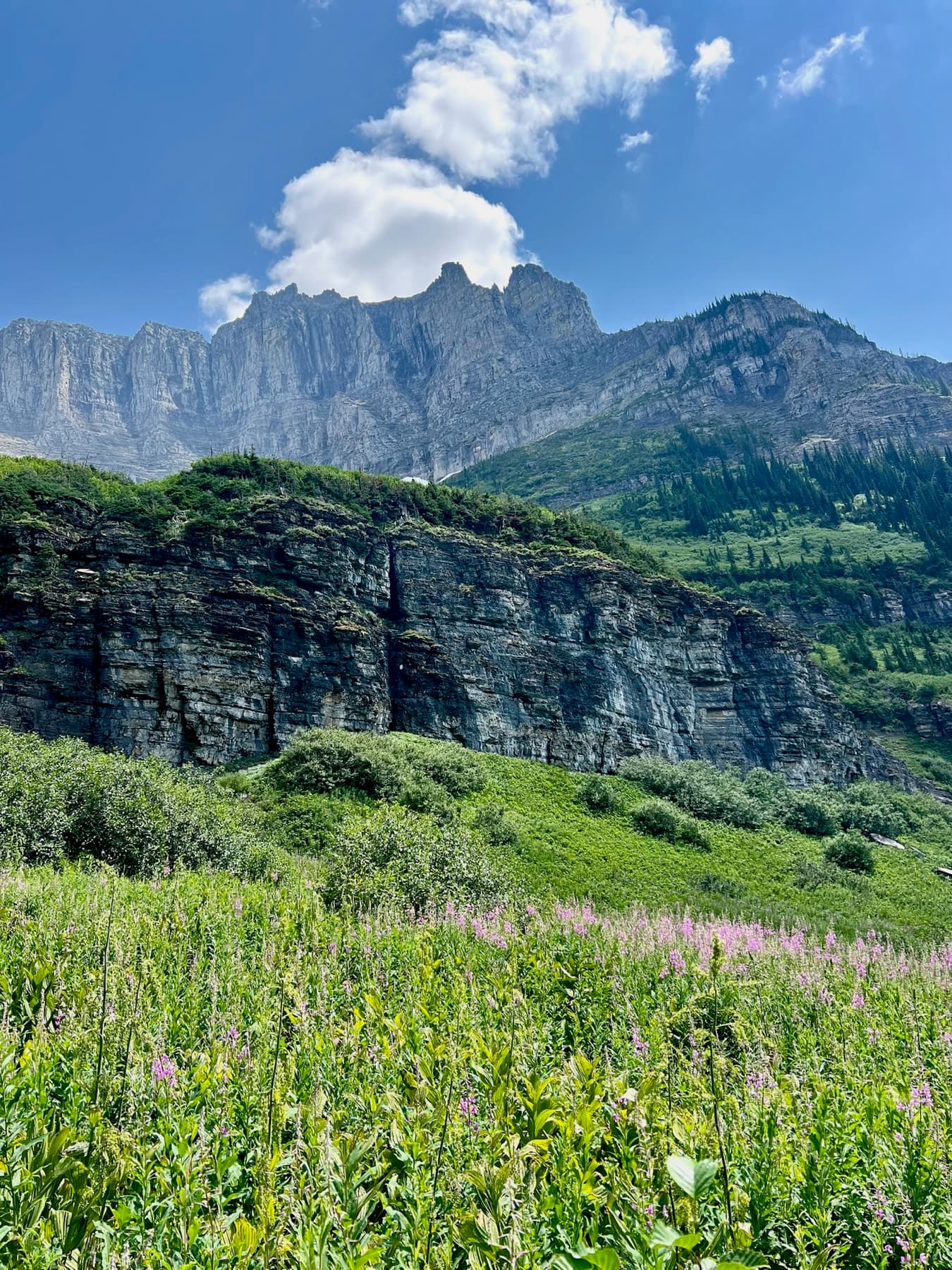 Montana landscape