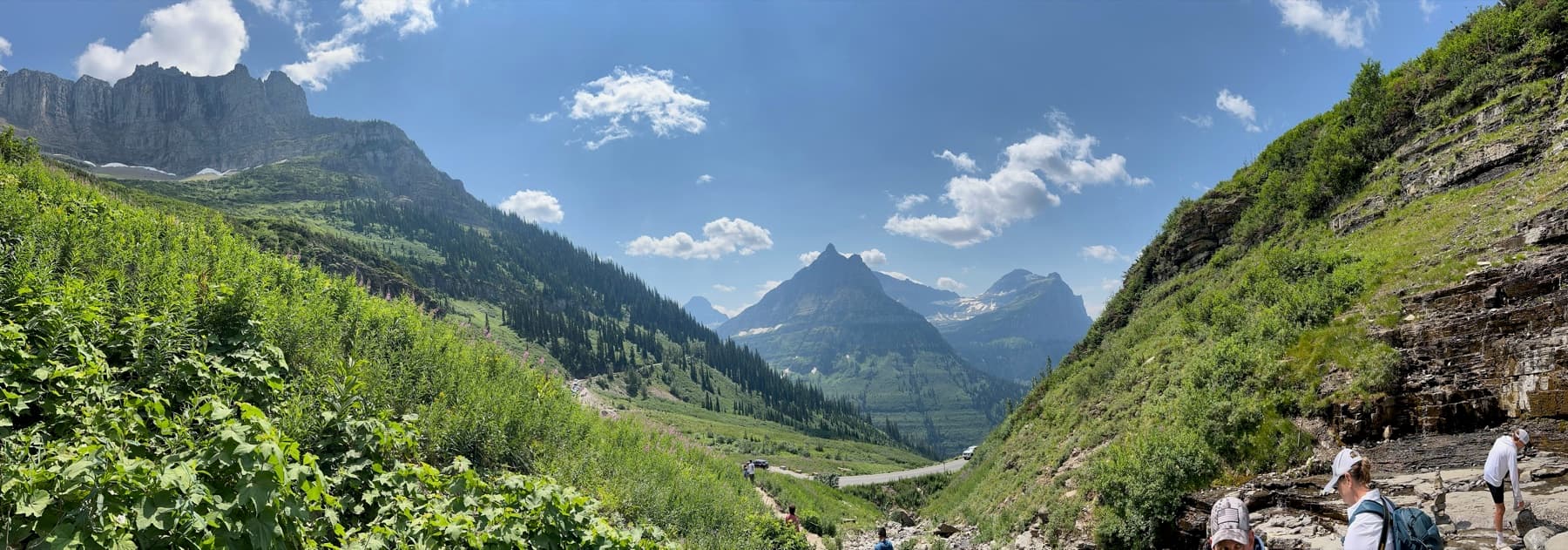 Montana landscape