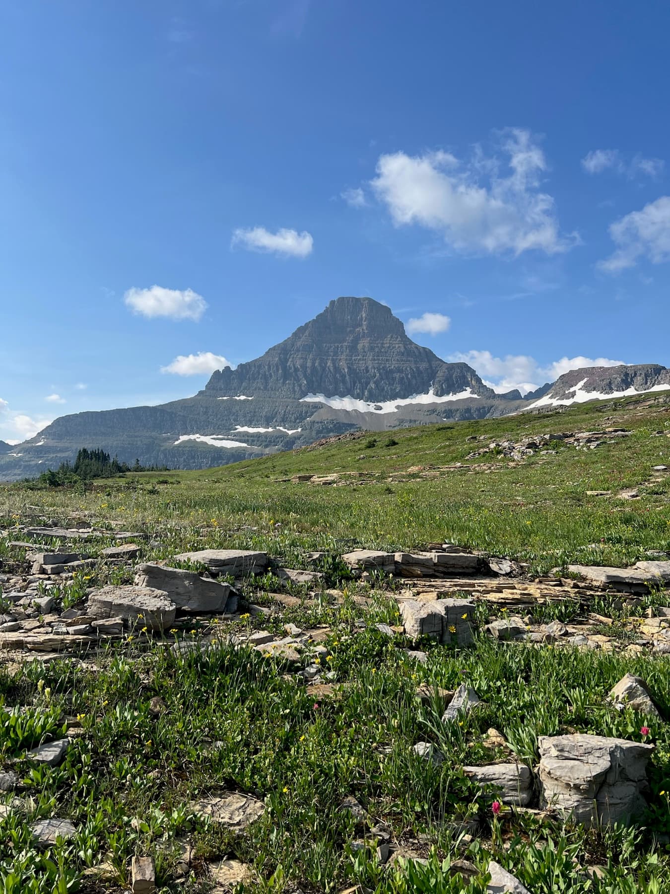 Montana landscape