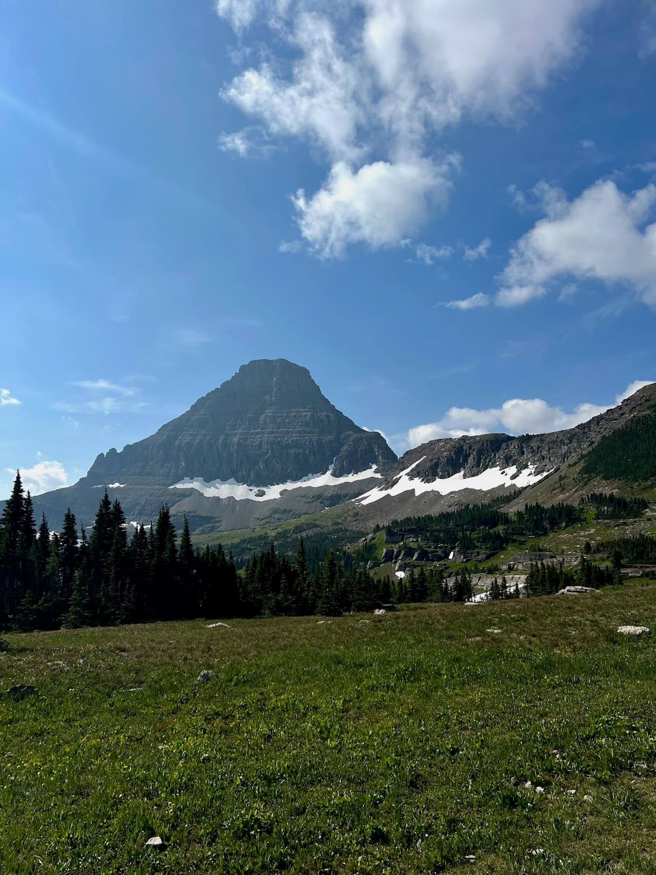 Montana landscape