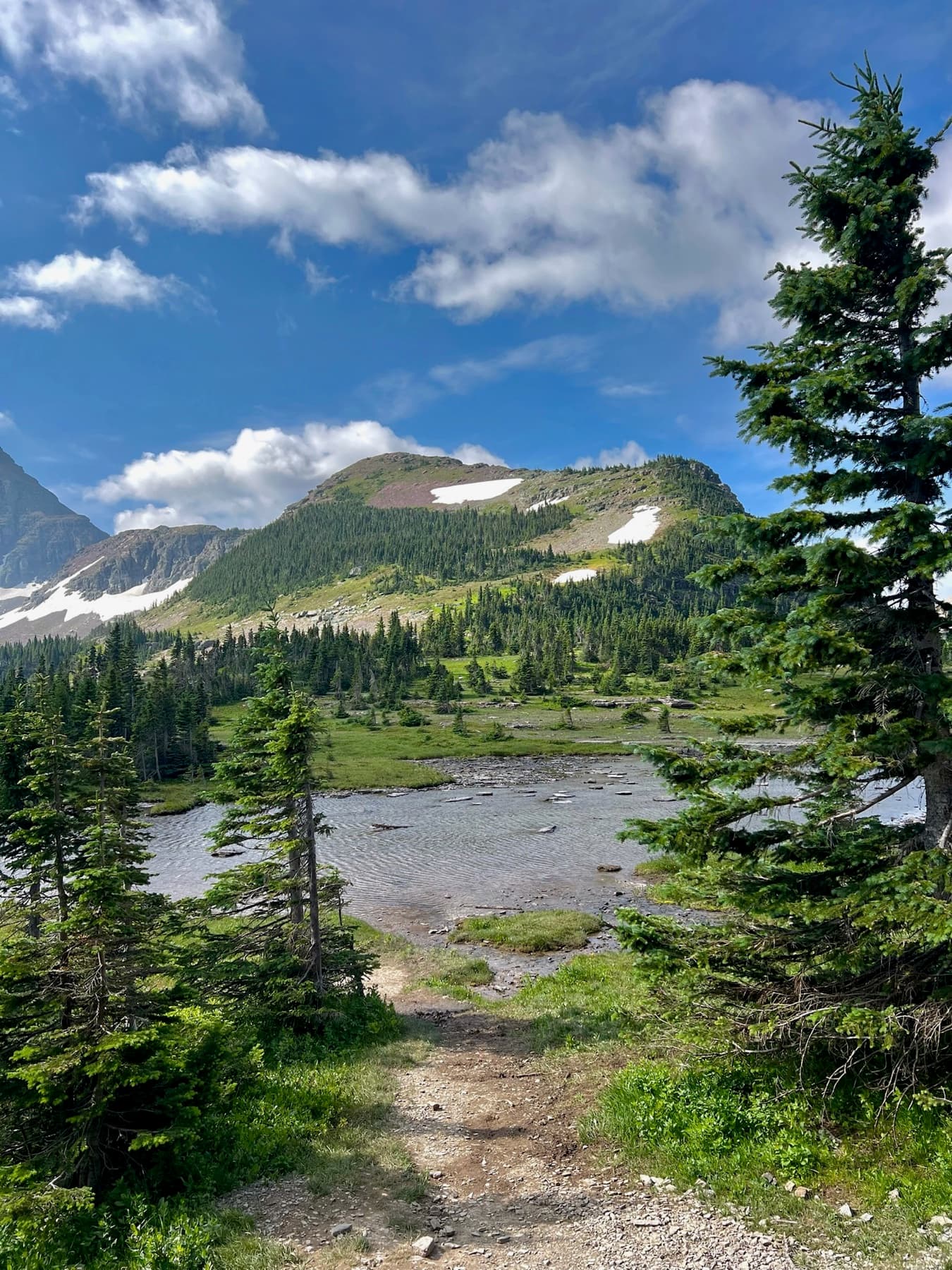 Montana landscape