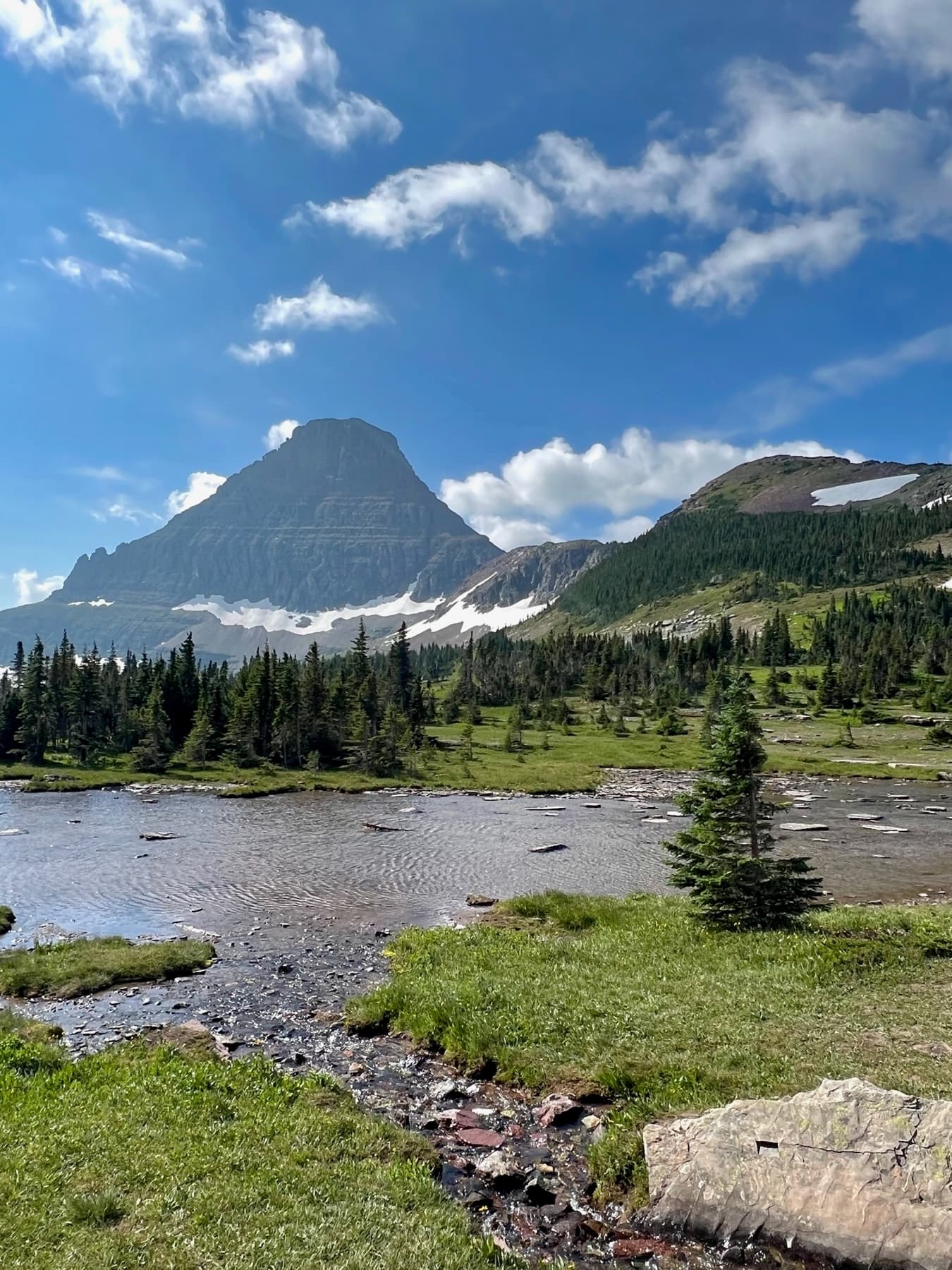 Montana landscape