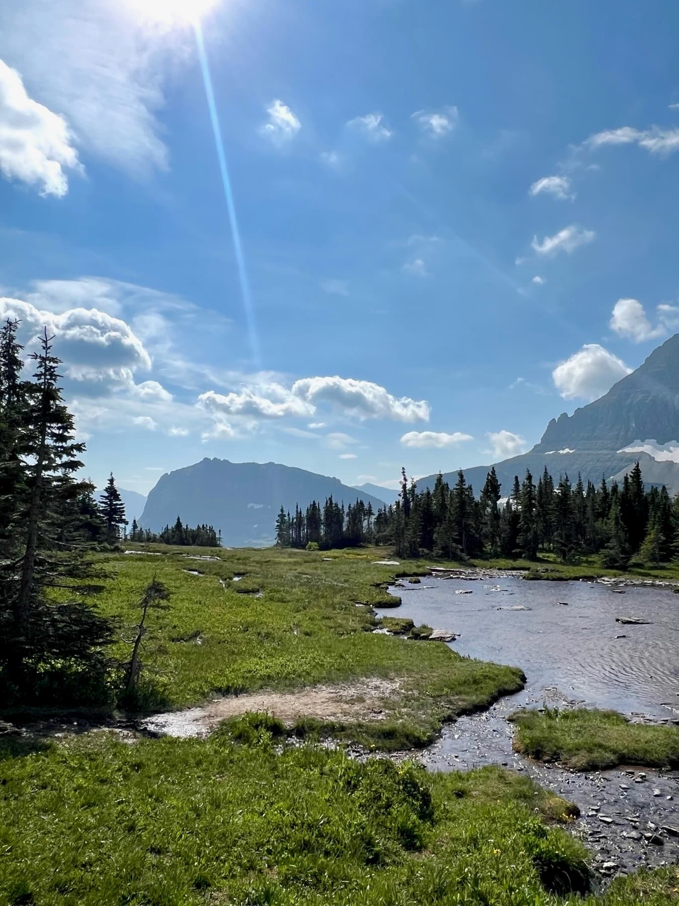 Montana landscape