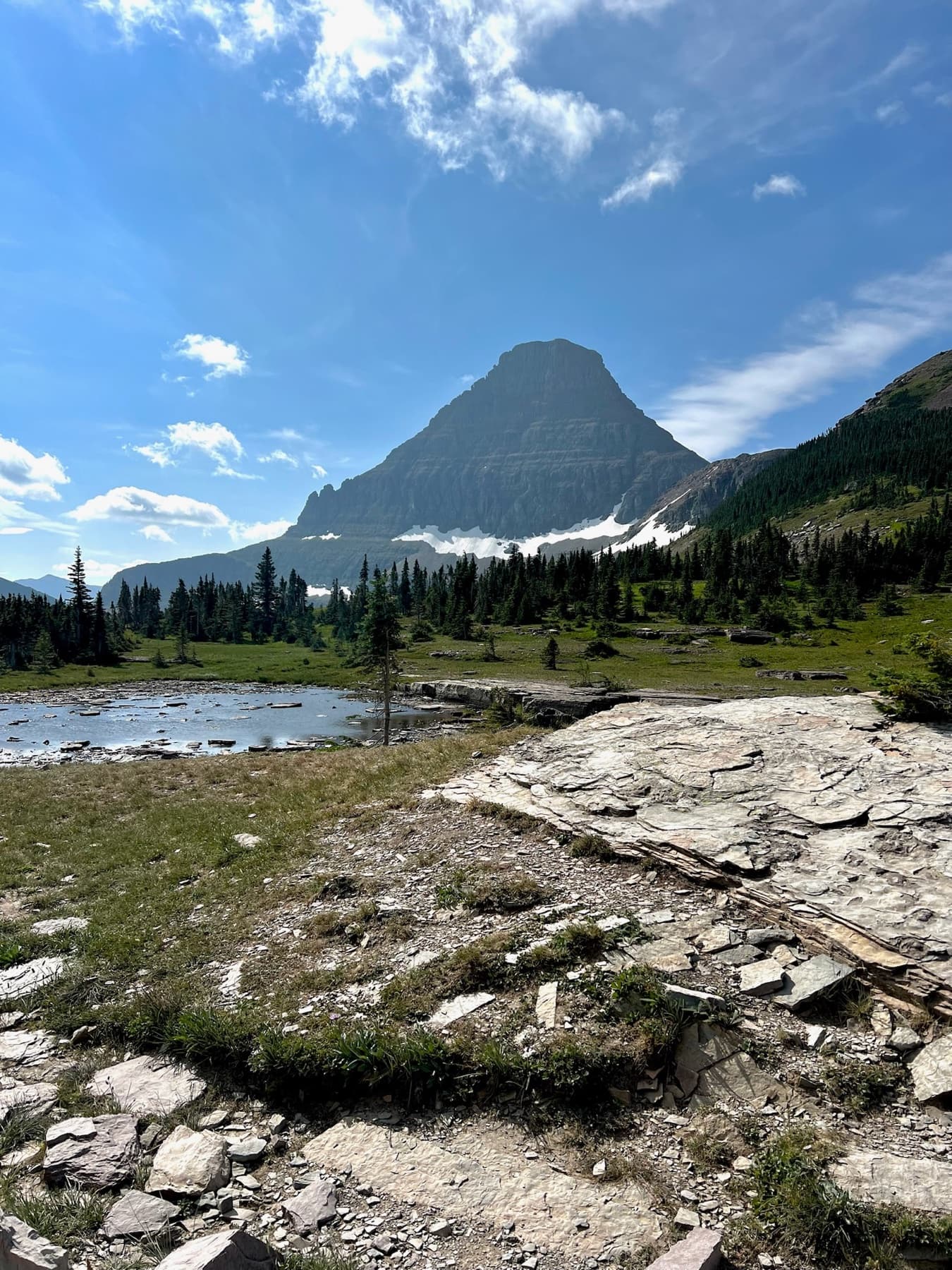 Montana landscape